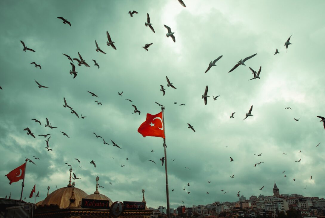 Terörsüz Türkiye Yolundaki Mayınlar – 3